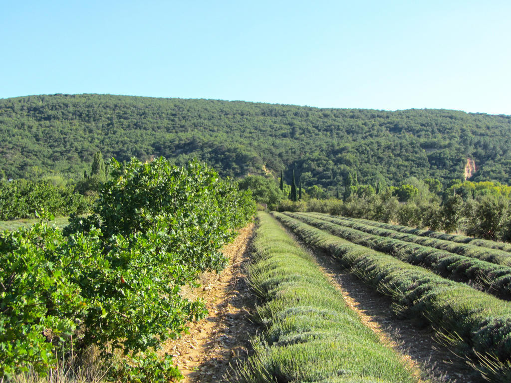 Gites De La Croix Du Gres (Adults Only) Valaurie Экстерьер фото
