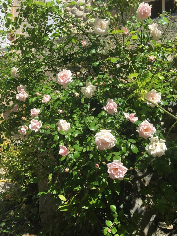 Gites De La Croix Du Gres (Adults Only) Valaurie Экстерьер фото